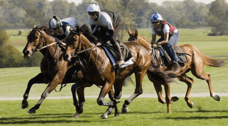 How Racing Organizations Promote Horse Safety