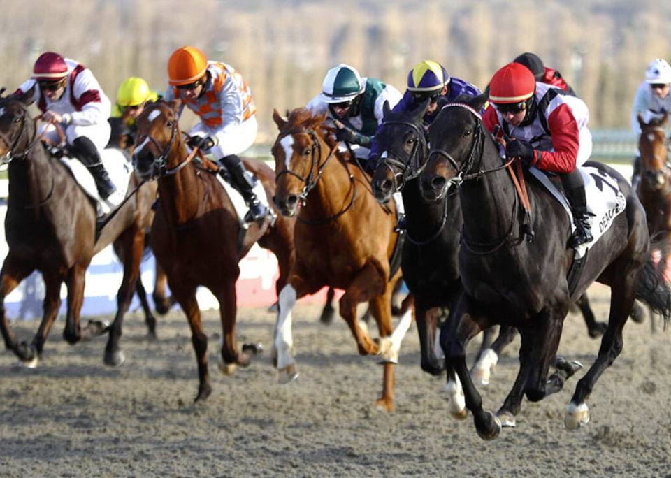 cplemaire || cplemaire couplé du jour || cplemaire la voyeuse || cplemaire 18 || cplemaire pmu || cplemaire turf